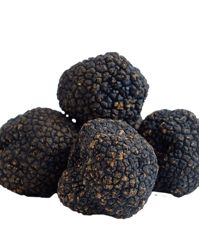 Urbani Black Truffles, 25g