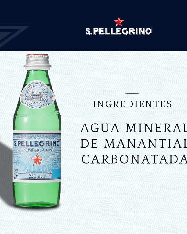 S.Pellegrino Carbonated Natural Mineral Water Bottle, 250 ml